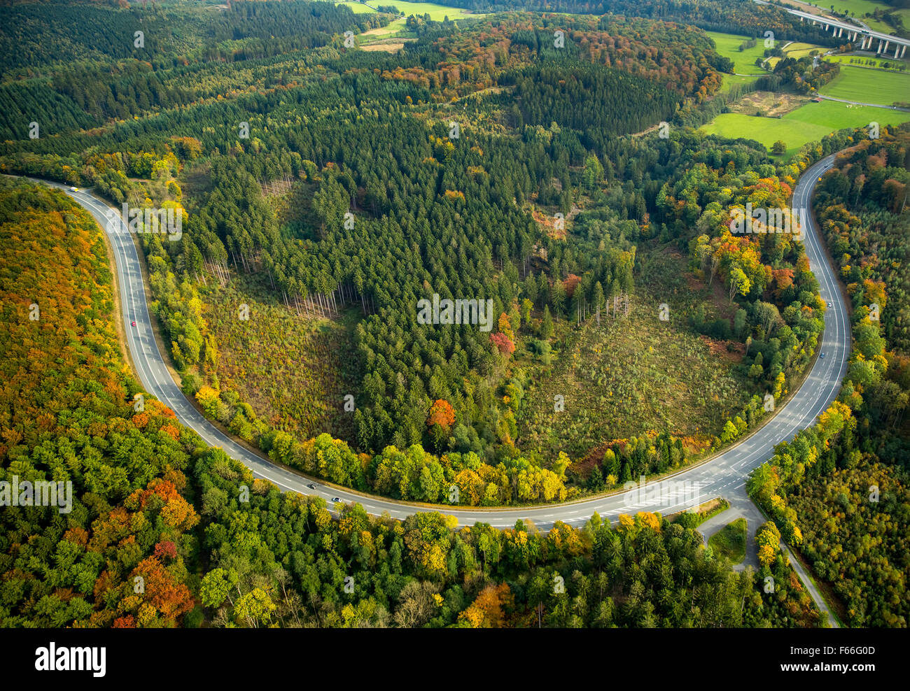Curva alargada en Arnsberg Forest, el bosque en Meschede, el follaje de otoño, otoño de bosque en Arnsberg colores brillantes en el bosque, Foto de stock