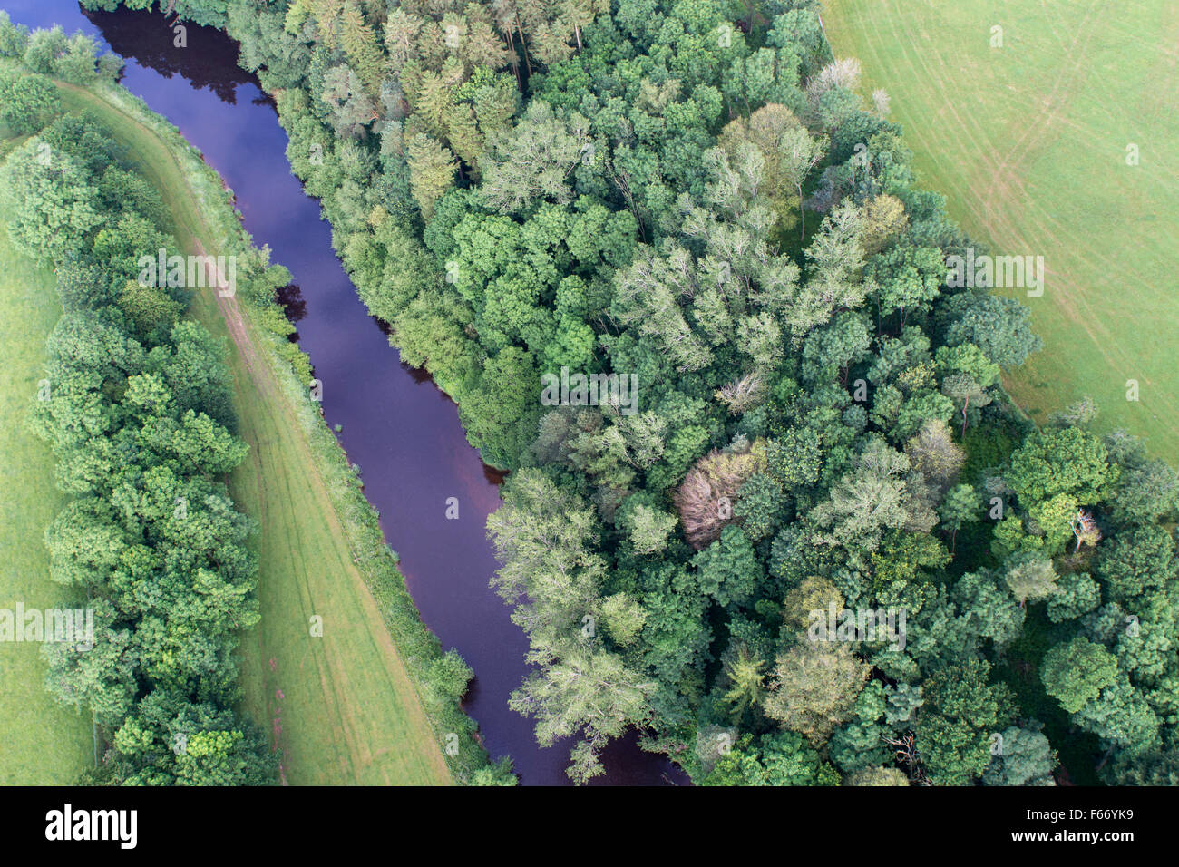 Río Eden, bordeada por bosques nativos, serpenteando a través de la campiña cerca de Appleby, Cumbria, Reino Unido. Foto de stock
