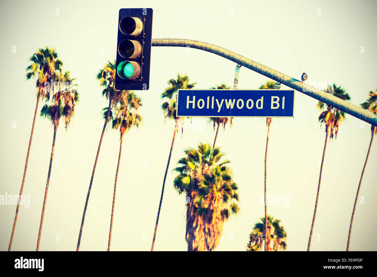 Cruz procesados Hollywood Boulevard firmar y semáforos con palmeras en el fondo, Los Angeles, Estados Unidos. Foto de stock