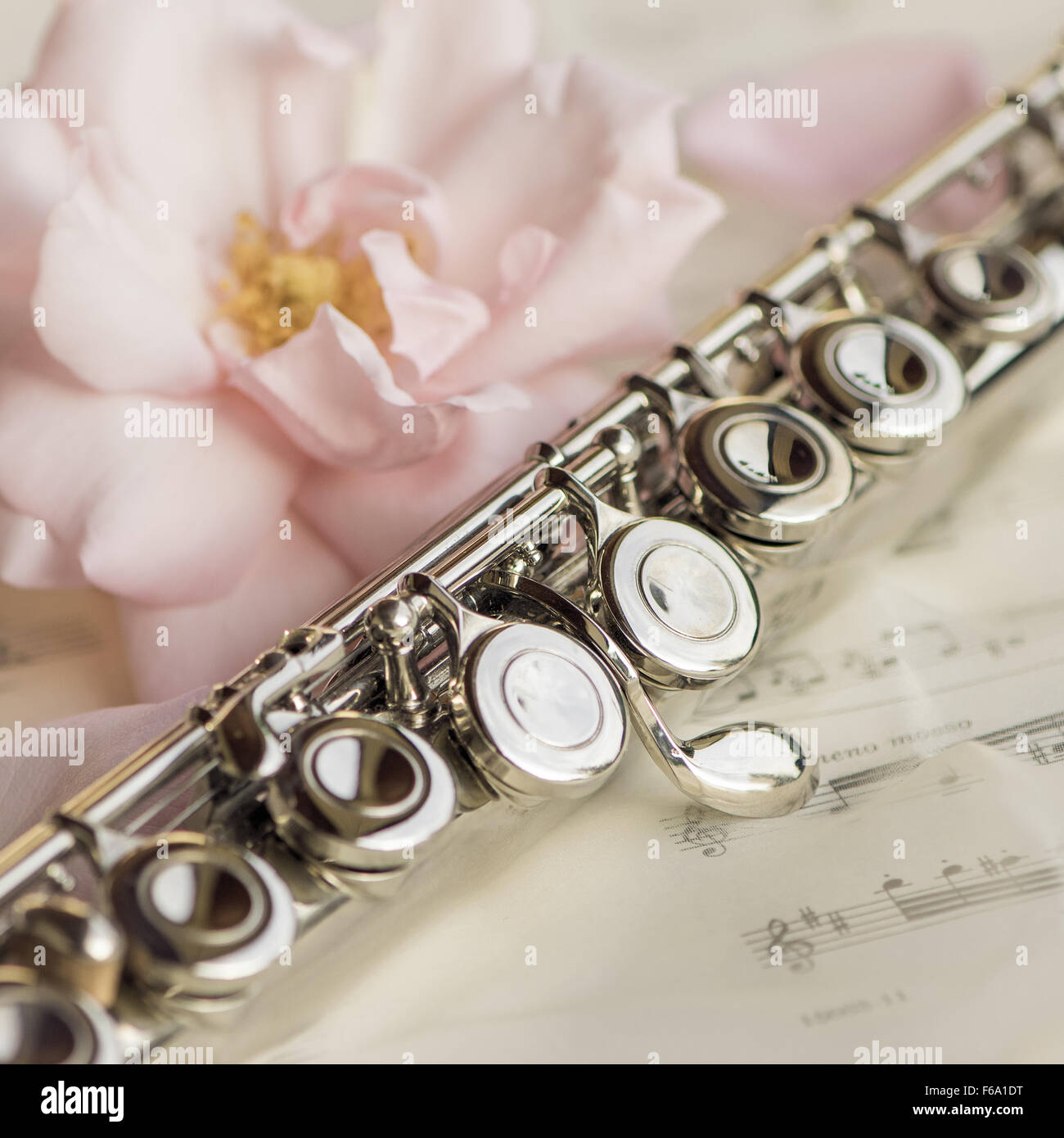 Flauta macro fotografías e imágenes de alta resolución - Alamy