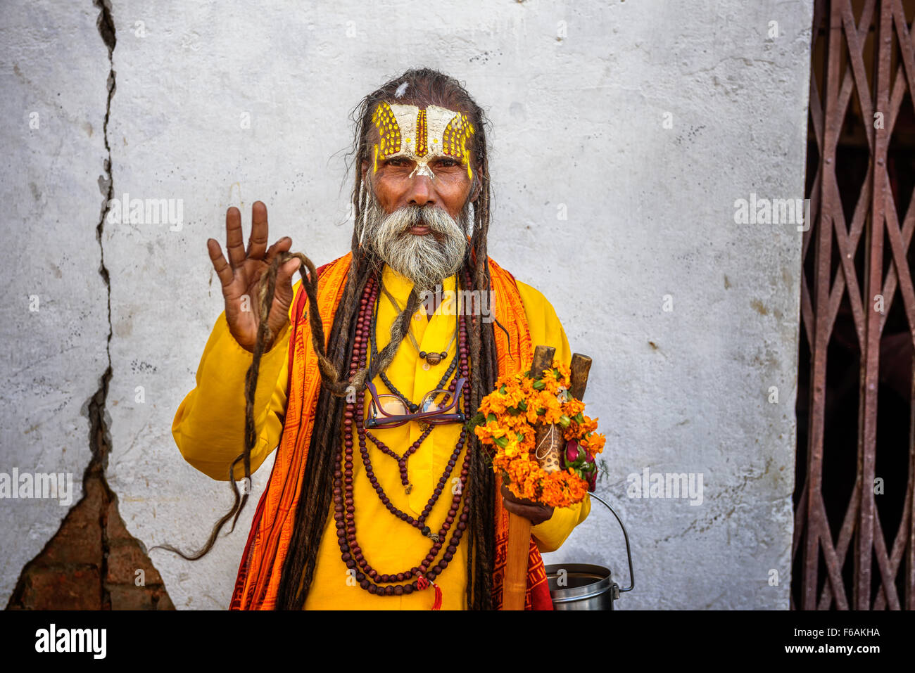 Shaiva sadhu errante (hombre santo) muestra su larga barba Foto de stock