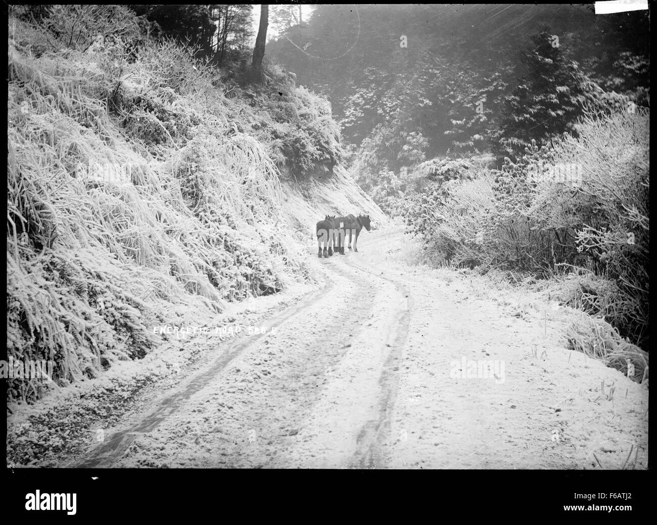 Vista de enérgico Road, cerca Inangahua Foto de stock