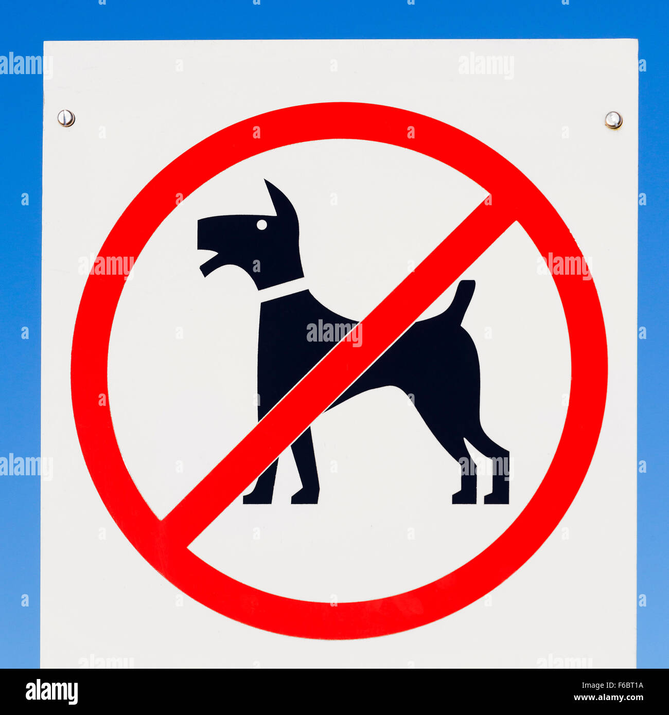Firmar, perros prohibidos Foto de stock