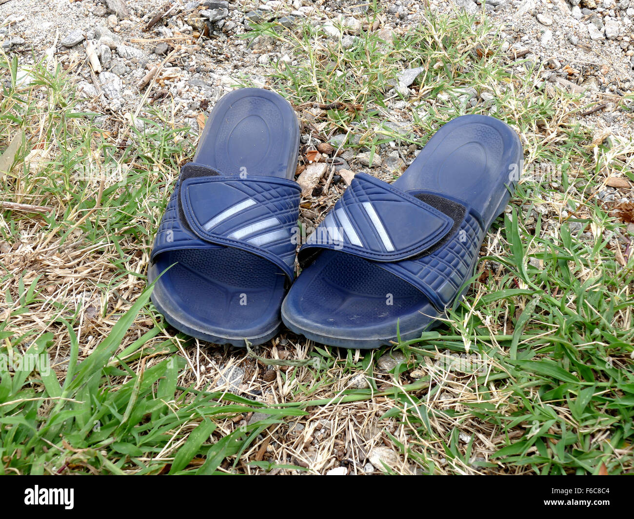 Chanclas económicas | Comprar chanclas hombre, mujer y niños - Montse  Interiors