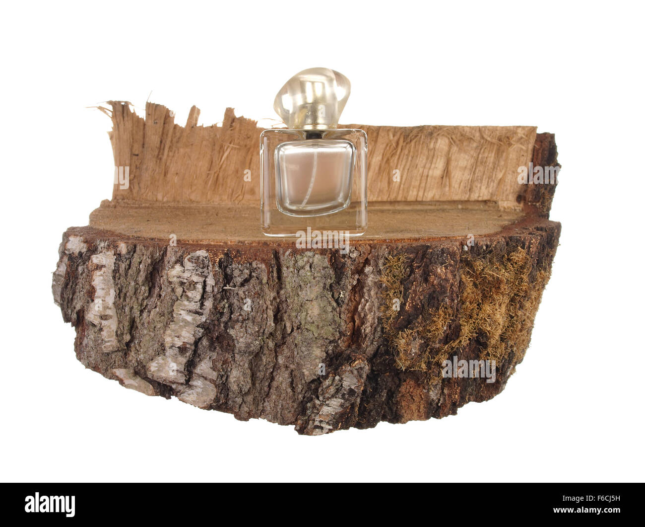 Botella de perfume en un pedazo de tronco de abedul aislado sobre fondo blanco. Foto de stock