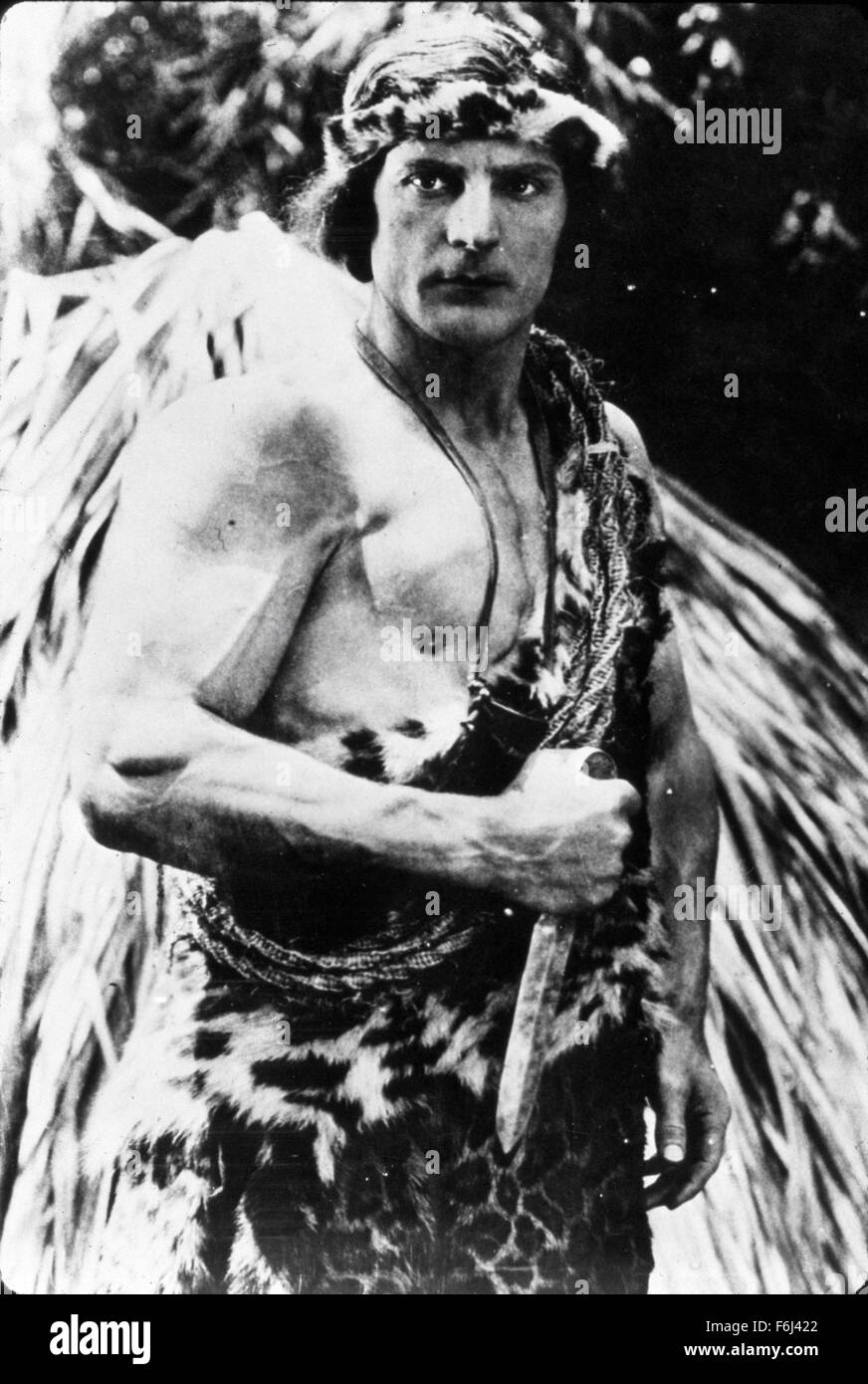 1929, el título de la película Tarzán el tigre, Foto Carácter, Frank
