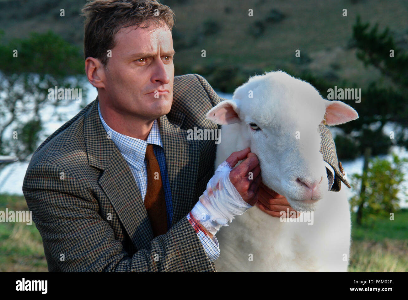 Fecha de publicación: junio de 2007. Película: ovejas negras. Estudio: Live Stock Films. Parcela: Un experimento en ingeniería genética resulta inocuo en ovejas sedientas de sangre asesinos que aterrorizan a una extensa finca de Nueva Zelandia. Foto de stock