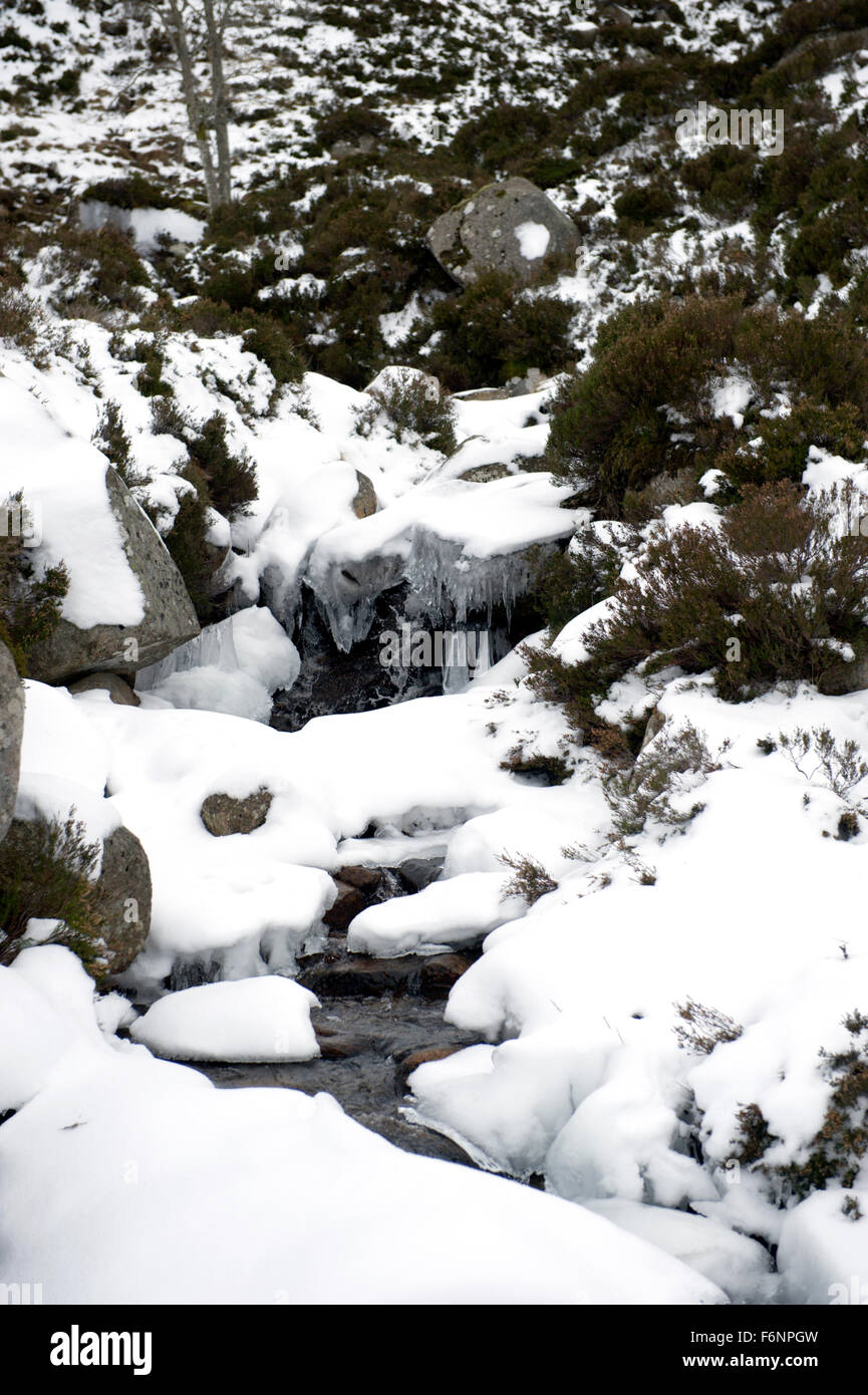 Un pequeño arroyo o quemadura que conduce a Loch Muick fluye a través de una noche de acumulación de nieve y hielo Foto de stock
