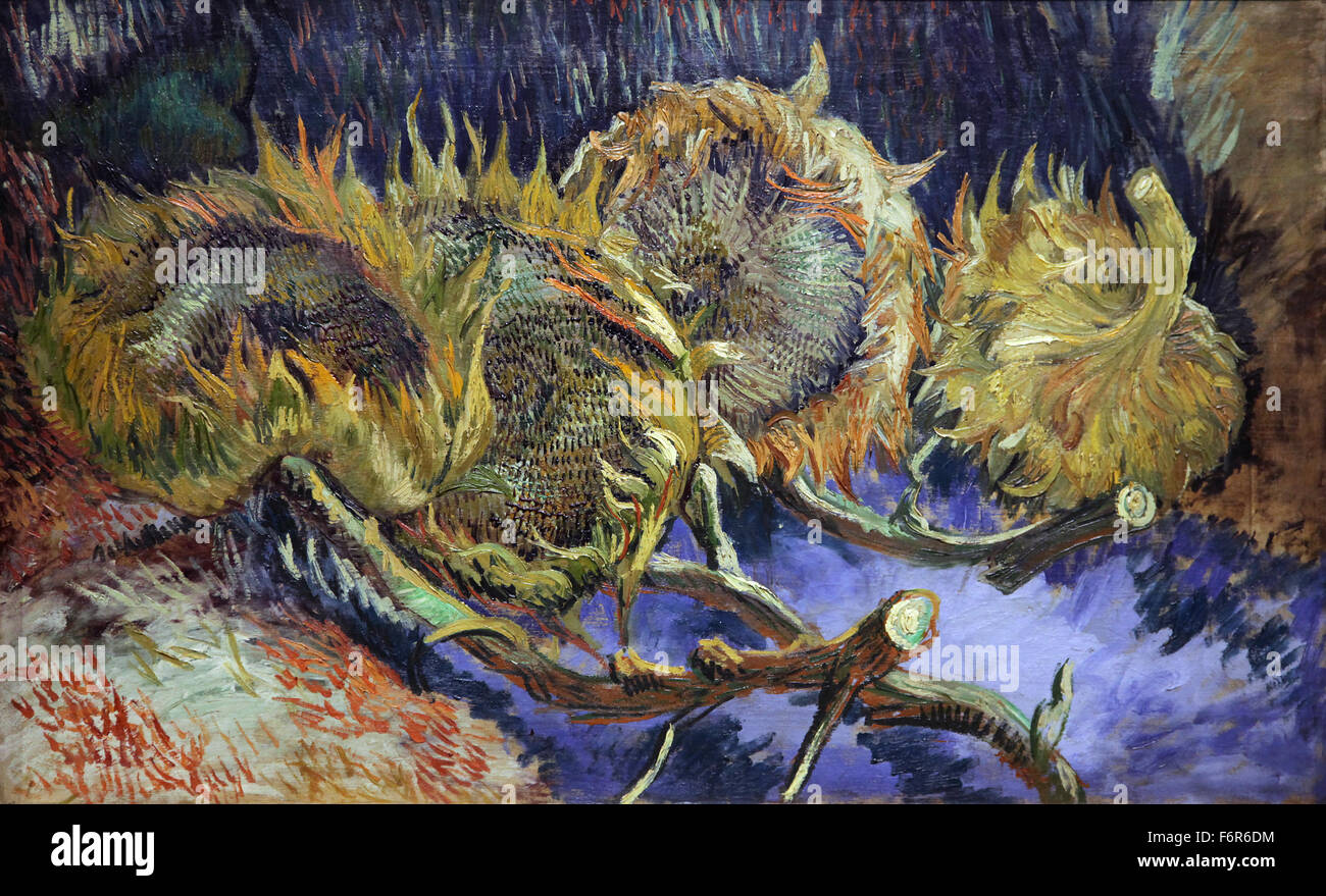 Cuatro girasoles en semilla (1887) de Vincent van Gogh (1853-1890) Foto de stock
