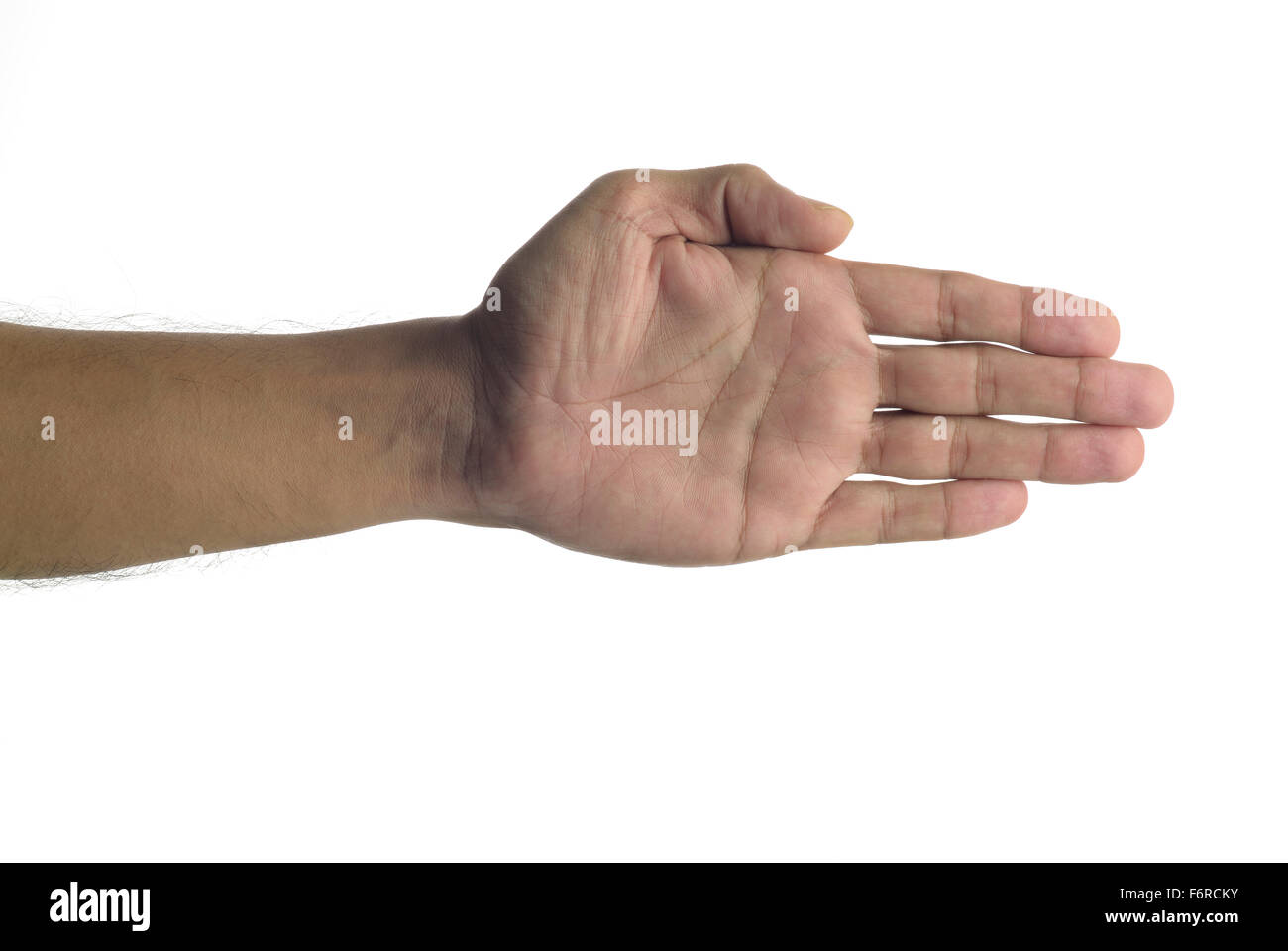 Mano humana - Palm Foto de stock