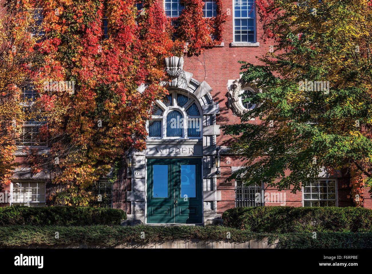 Cubiertos de hiedra salvaje Hall, de la Universidad de Dartmouth, en Hanover, New Hampshire, EE.UU. Foto de stock