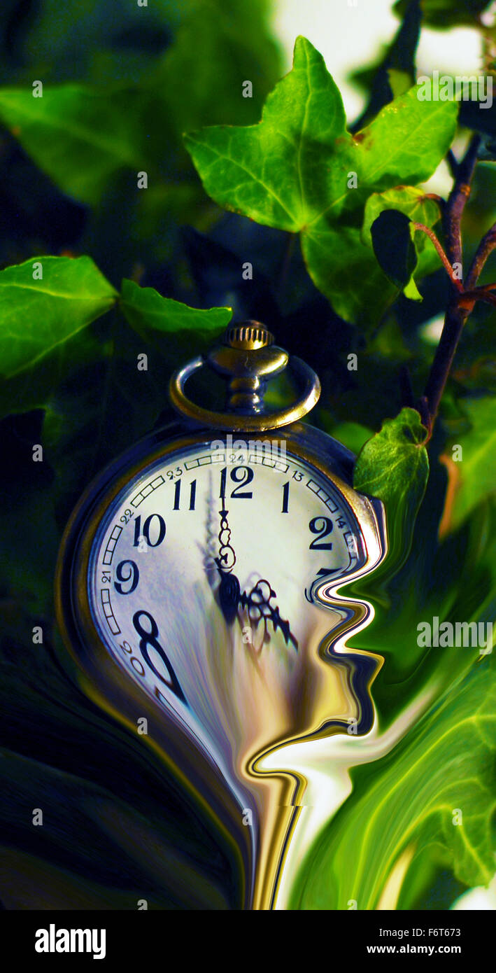 Fobwatch,ver,Hora,la distorsión, deformación de tiempo,hojas de hiedra ,resumen Foto de stock