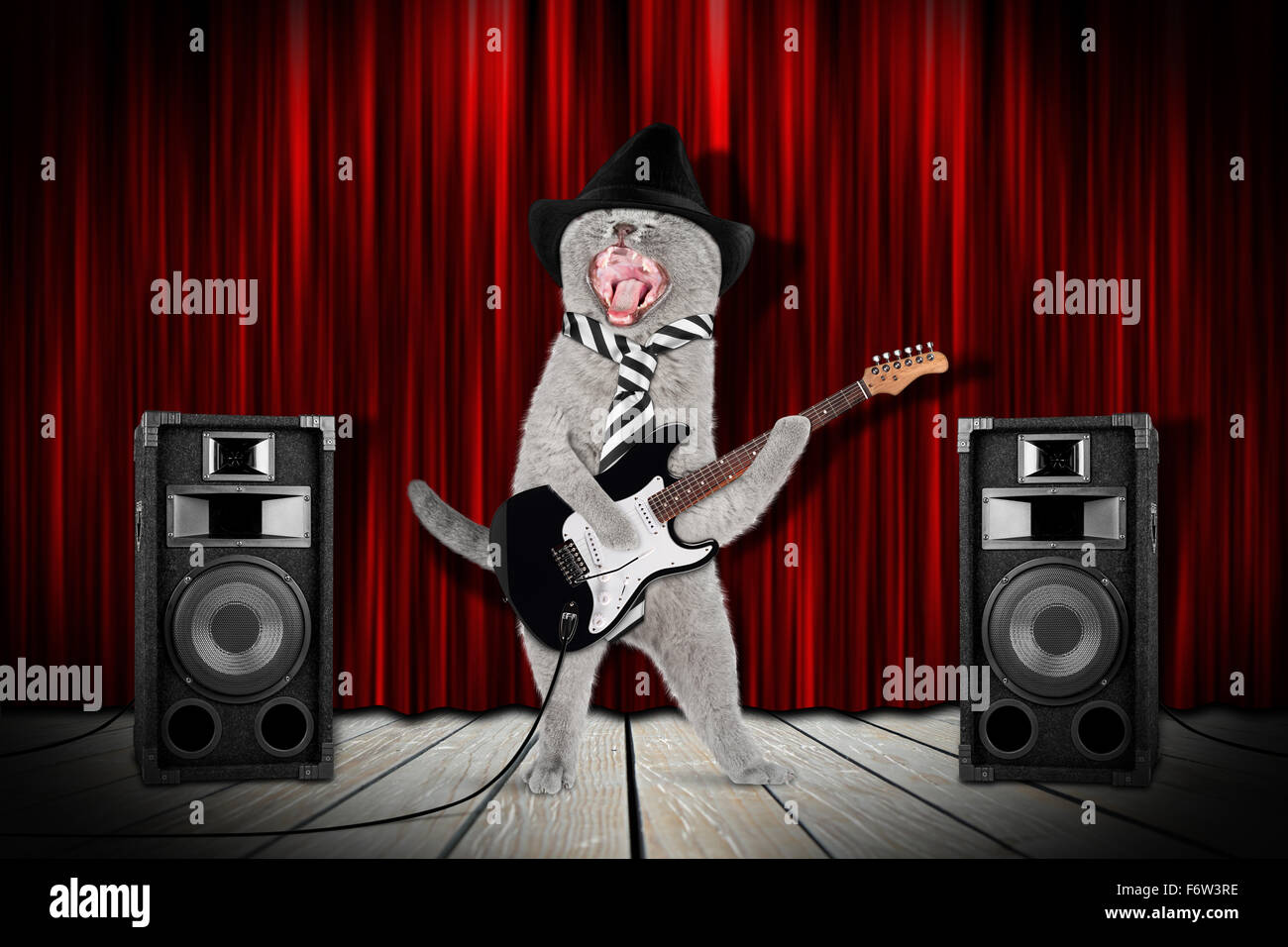 Gracioso gato de estrella de rock con guitarra y altavoces en el escenario Foto de stock