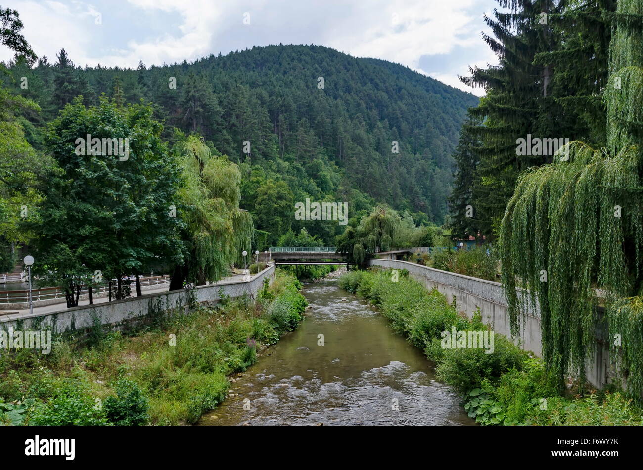 Vista hacia el río con puente y muy variada, planta Chepinska reka, Velingrad, provincia de Pazardzhik, Bulgaria Foto de stock