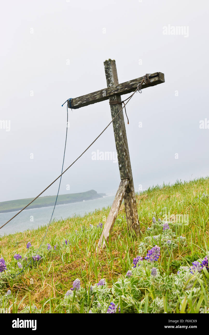 Una cruz de madera desgastada está entre el lupino en la tundra en la costa del Mar de Bering, la isla de San Pablo, al suroeste de Alaska, EE.UU., Verano Foto de stock
