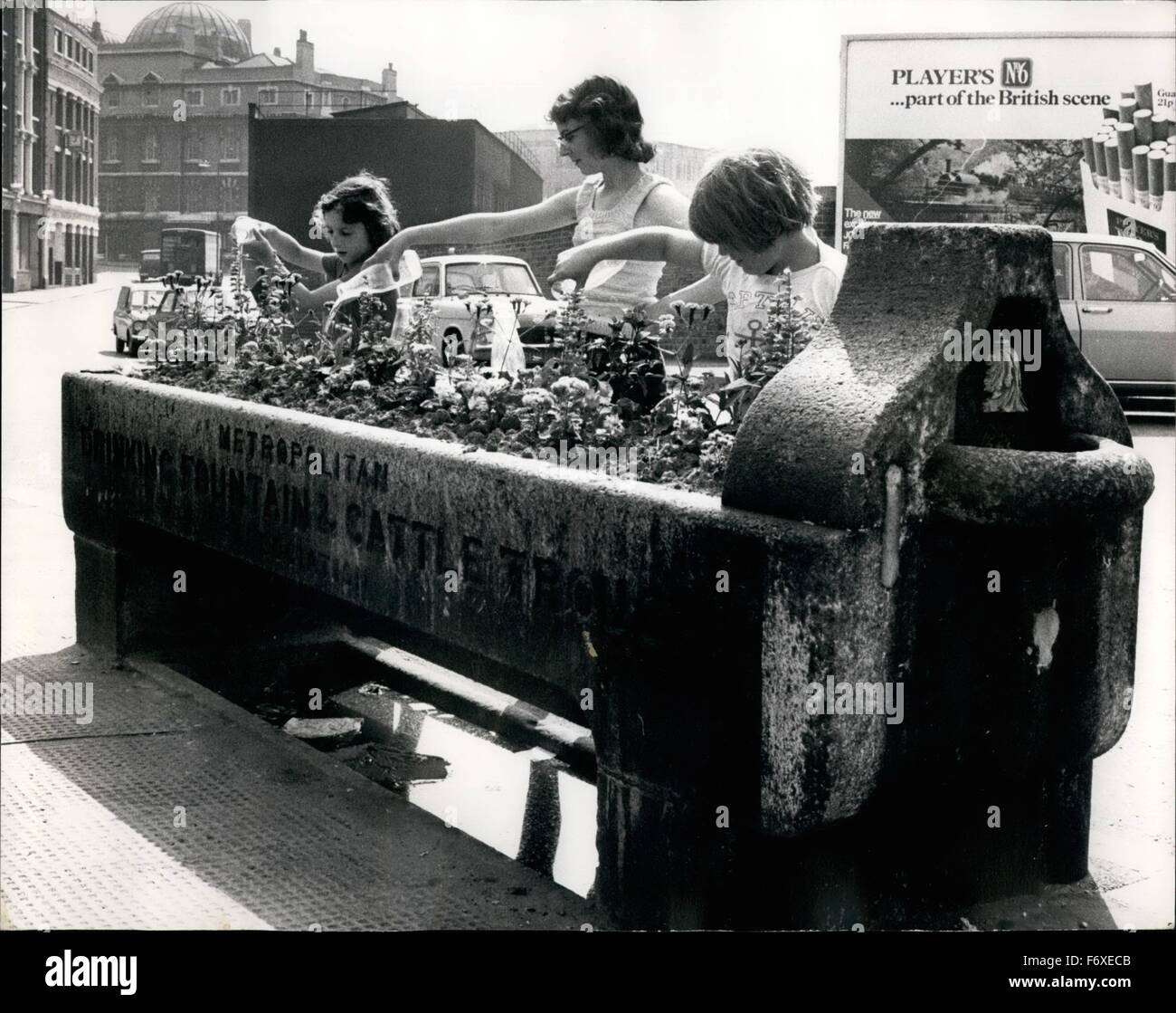 1972 - Ahora su las flores que bebe una reliquia de la plaga - una fuente de agua potable y abrevadero de ganado, que hes ha convertido en miniatura de un jardín de flores, es atendido por jóvenes con botellas de leche para regar las flores - Escena en Farrindon © Fotos Keystone USA/ZUMAPRESS.com/Alamy Live News Foto de stock