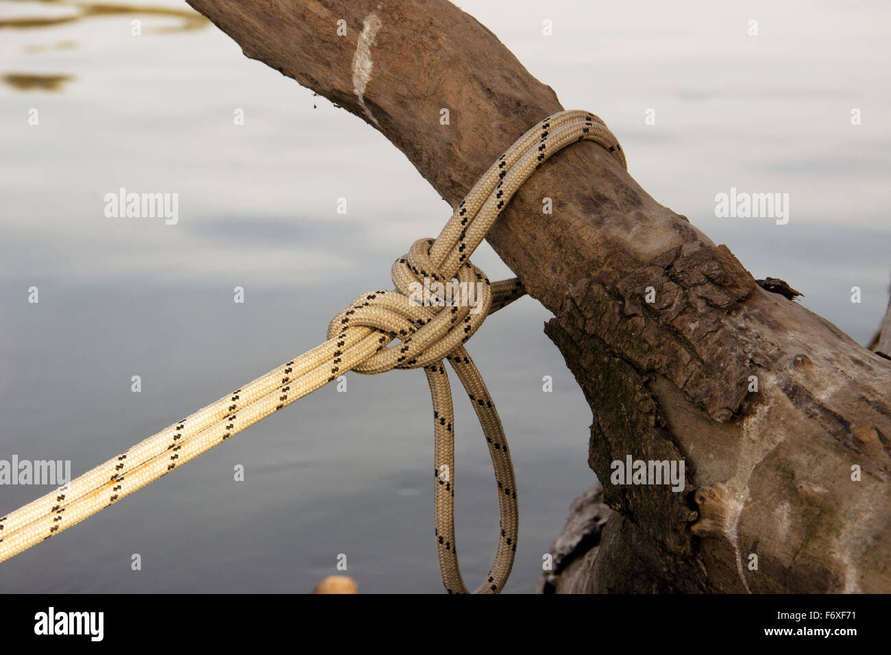 Cuerda atada a un árbol Fotografía de stock - Alamy