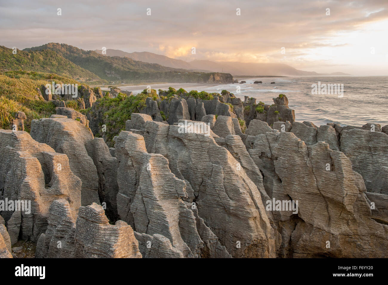 Pancake Rocks en en Punakaiki, Isla del Sur, Nueva Zelanda Foto de stock