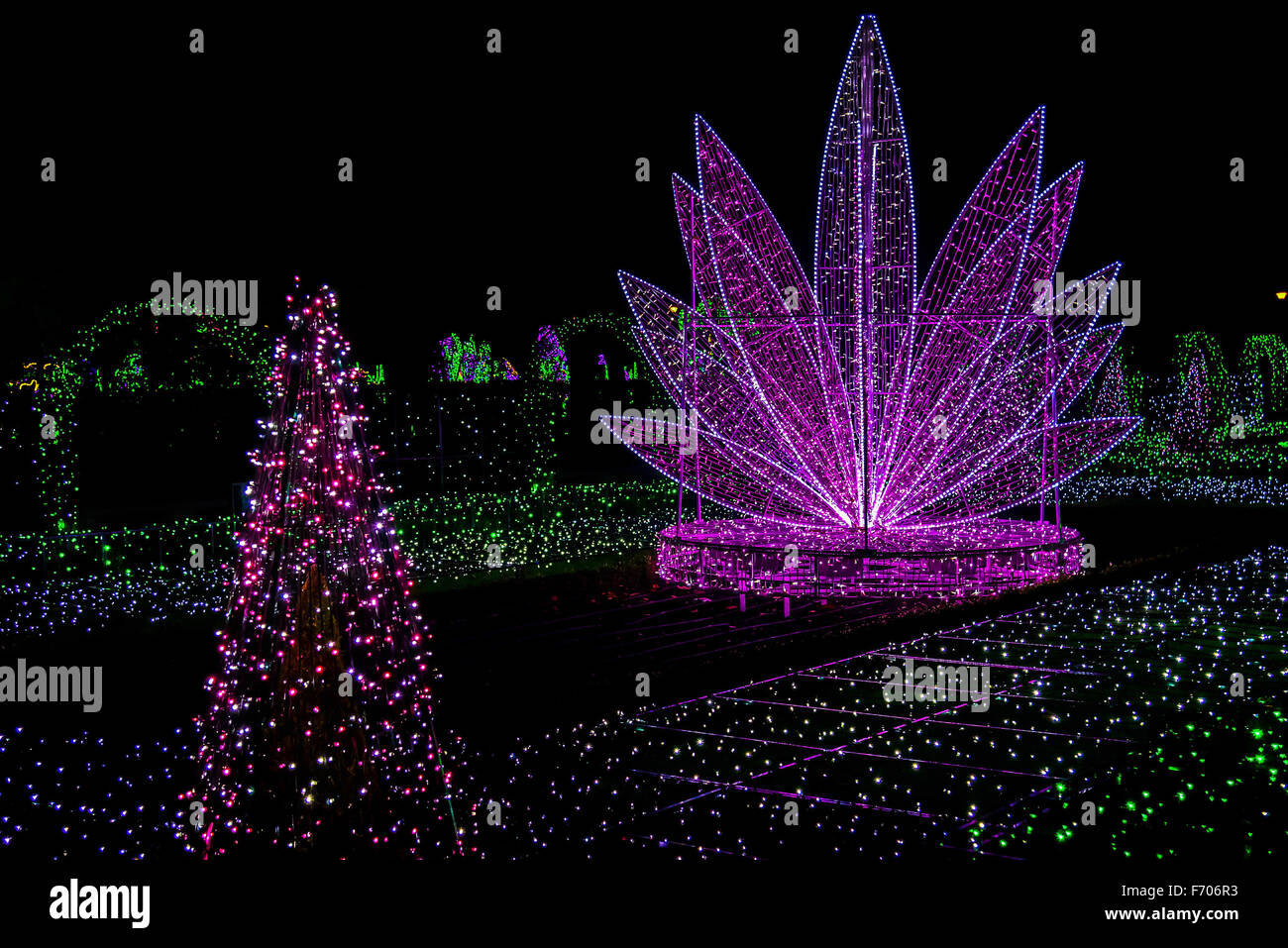 Royal Garden de luz con siluetas coloridas guirnaldas de Navidad Foto de stock