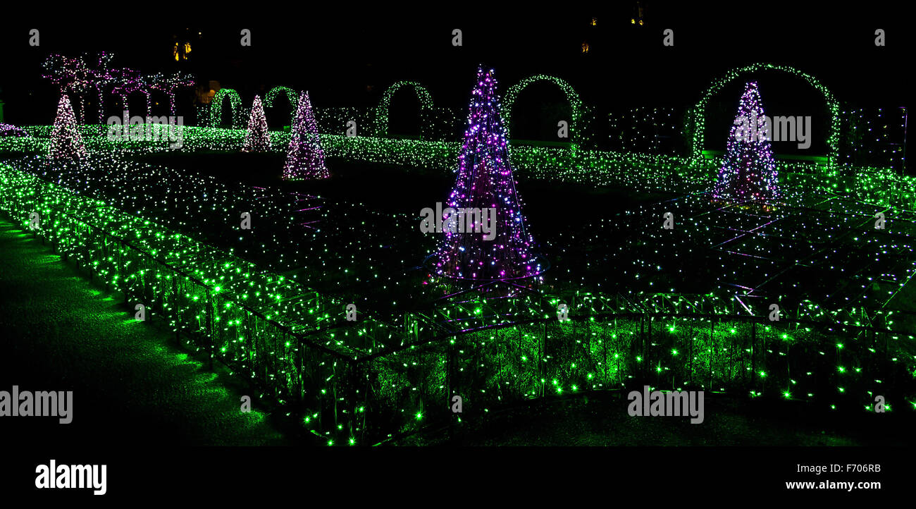 Iluminación de Fir-Trees y arbustos con coloridas luces de Navidad Foto de stock