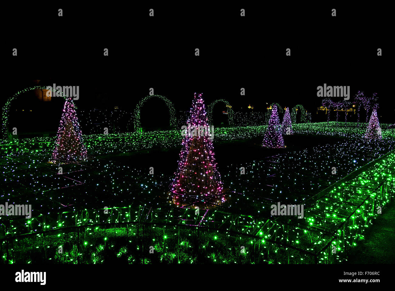 Árboles de Navidad iluminado de luces coloridas de Año Nuevo Foto de stock