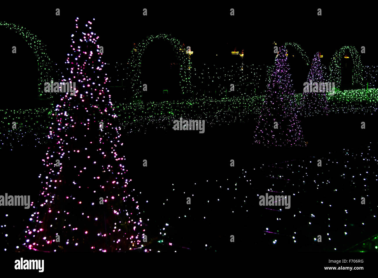 Las luces de Navidad en Fir-Trees y arbustos en el jardín Foto de stock