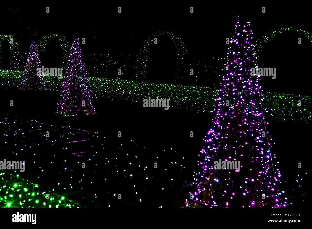 Y Hierba Fir-Trees desde Navidad bombillas en el Royal Garden Foto de stock