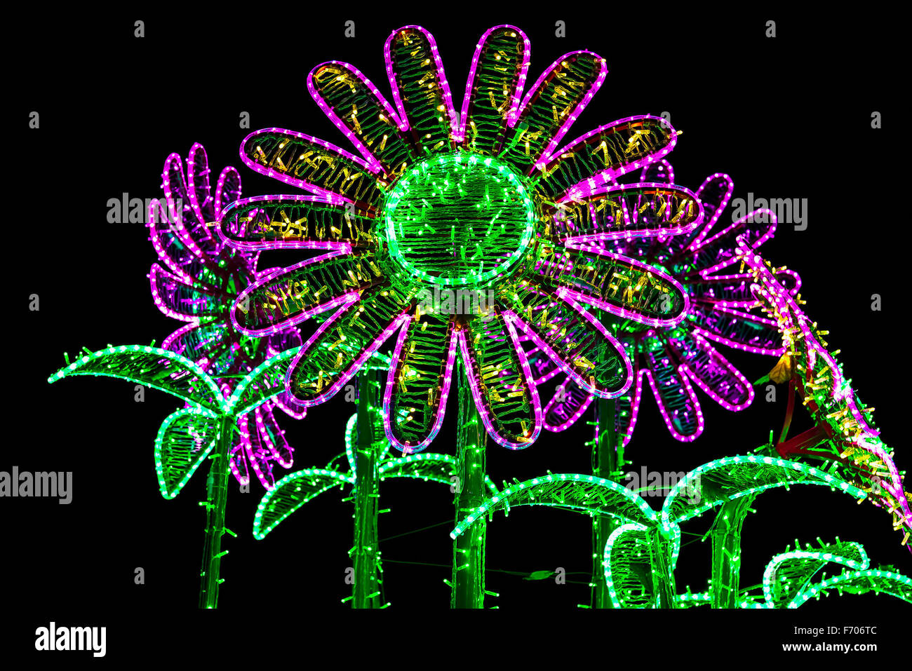 Construcción de flores similares a Chamomiles iluminados por lámparas de colores Foto de stock