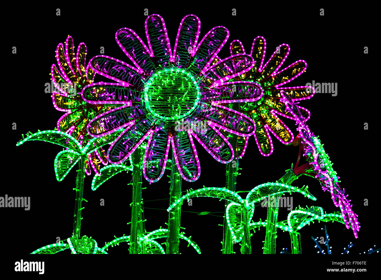La construcción como flores coloridas luces en la noche Foto de stock