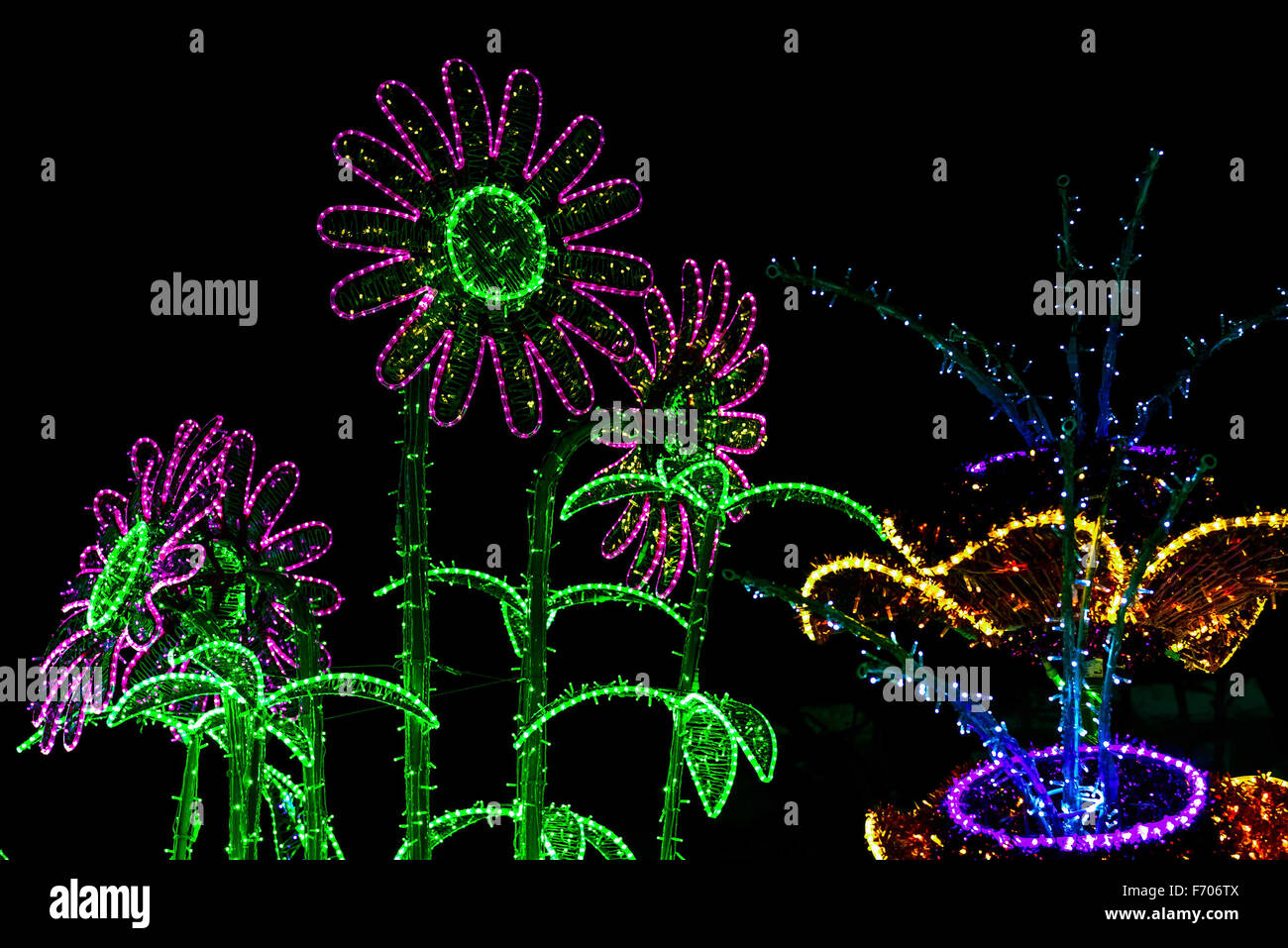 Construcción de flores iluminadas por luces multicolores en la noche Foto de stock