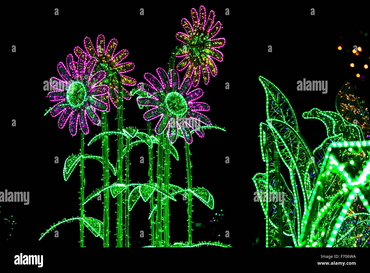 Construcción de flores similares a Chamomiles iluminada por luces de colores Foto de stock