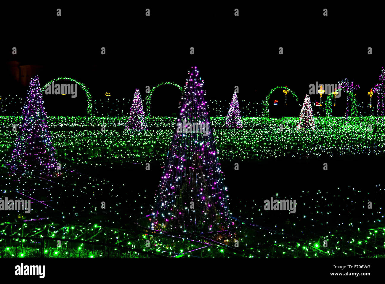 Fir-Trees y hierba iluminada por las luces de Navidad en el jardín Foto de stock