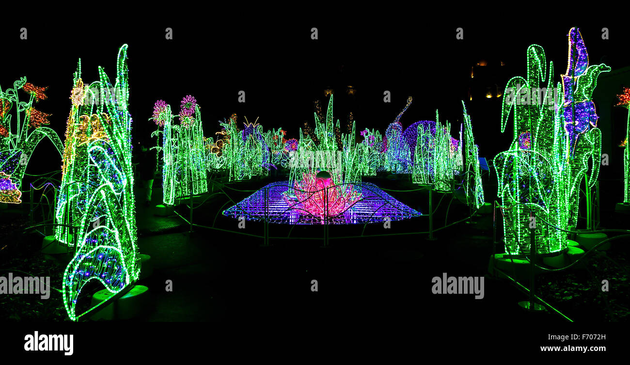 Vista sobre jardín de luces de Navidad con coloridas esculturas en la noche Foto de stock