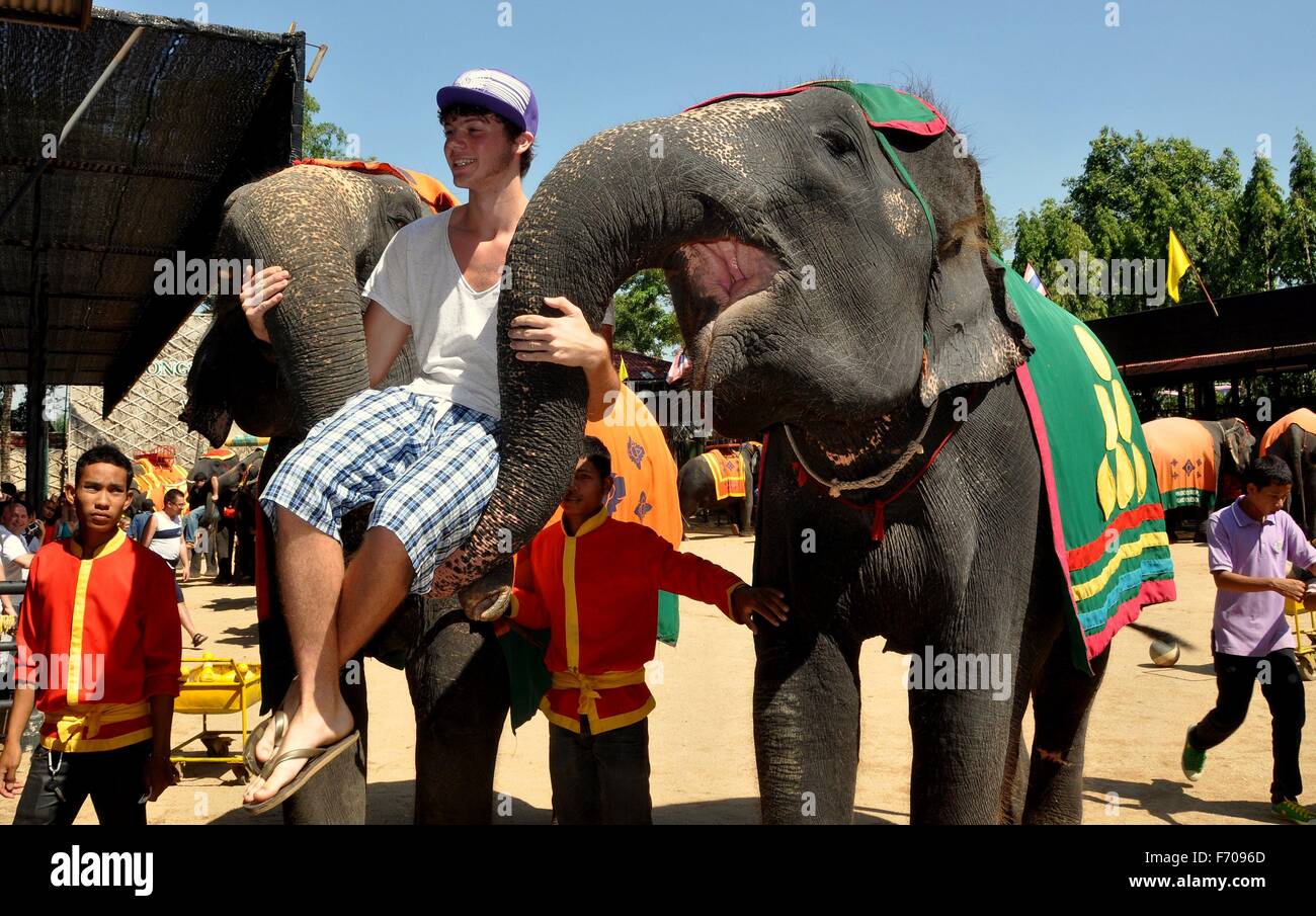 En Pattaya, Tailandia: sonriente el hombre se sienta en la unió de troncos de dos elefantes en la conclusión del show de elefantes de Nong Nooch Foto de stock