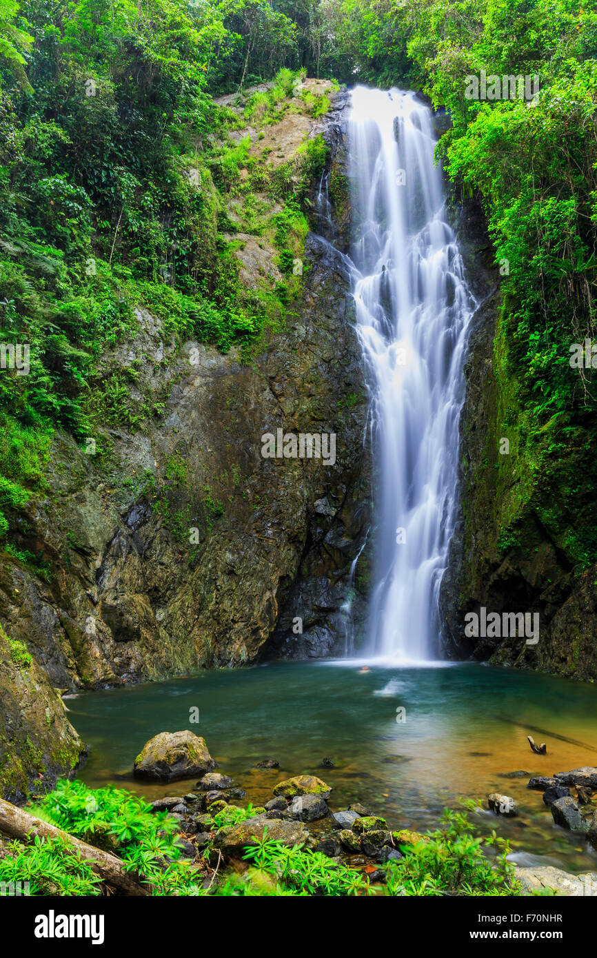 Magia de cascada y piscina natural en Suva, Fiji Foto de stock