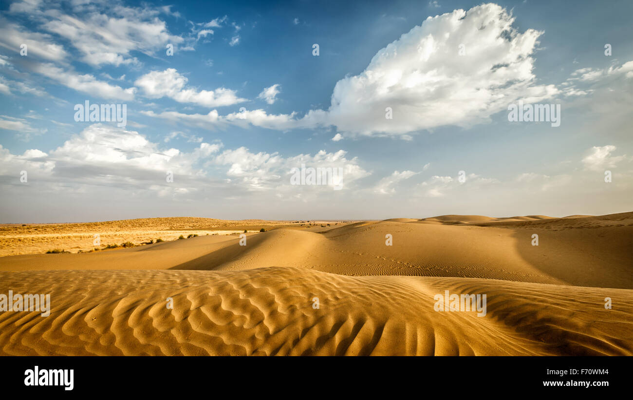 Las dunas del desierto de Thar, Rajasthan, India Foto de stock