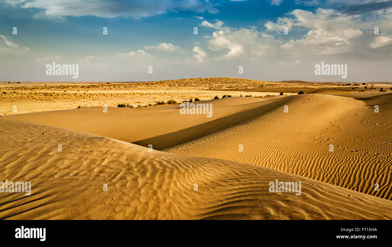Las dunas del desierto de Thar, Rajasthan, India Foto de stock