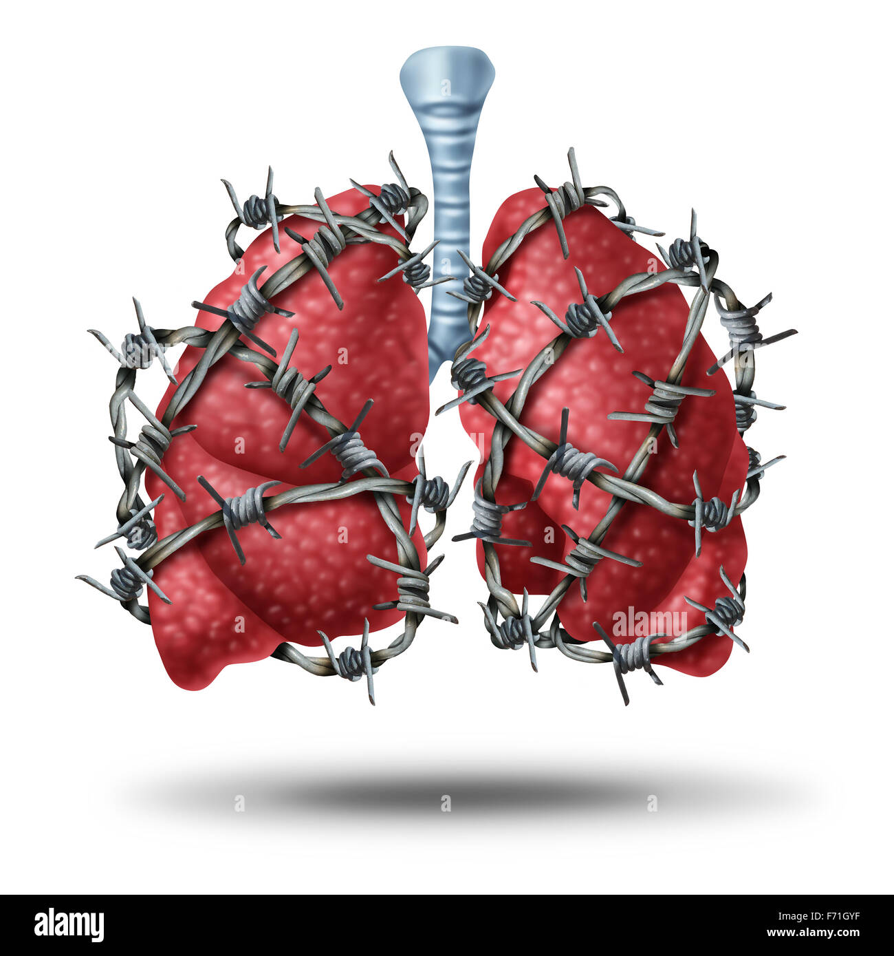 Concepto médico dolor pulmonar como un par de pulmón humano órgano envuelto con peligrosos o alambradas de púas como un símbolo de salud de problemas cardiovasculares como la fibrosis quística o dolor en el pecho la metáfora. Foto de stock