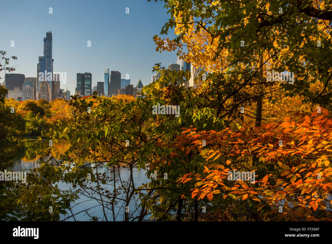 El follaje de otoño en Central Park, Manhattan, Nueva York, EE.UU. Foto de stock