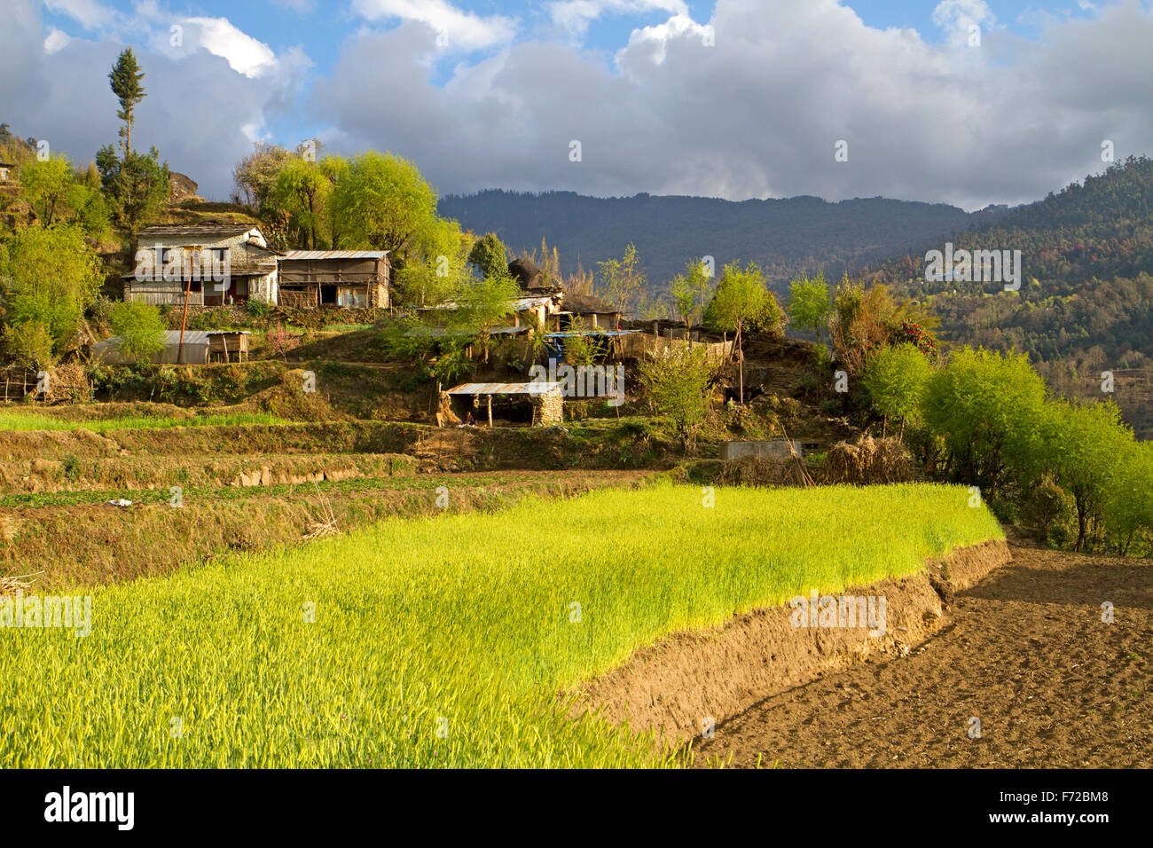 Cultivos en la aldea de los Annapurnas Swanta Foto de stock