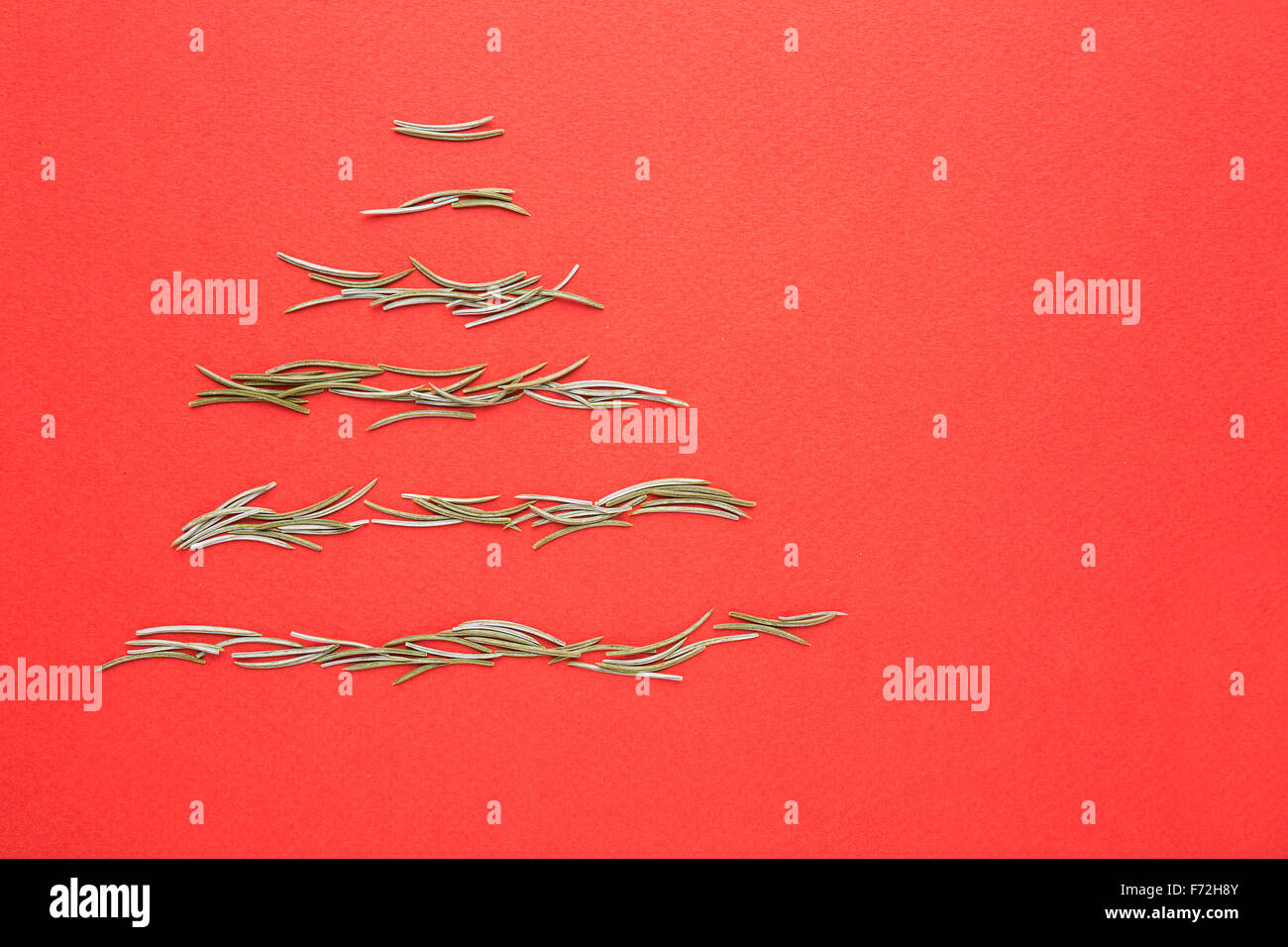 Árbol de navidad de abeto agujas sobre fondo rojo. Foto de stock