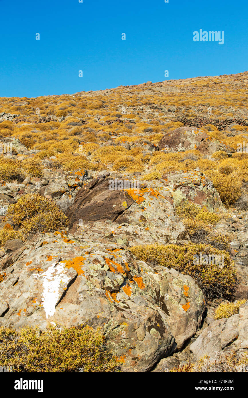 Yermas laderas rocosas con escasa vegetación espinosa en Western Lesvos encima de Skala Eresou, Lesbos, Grecia. Foto de stock