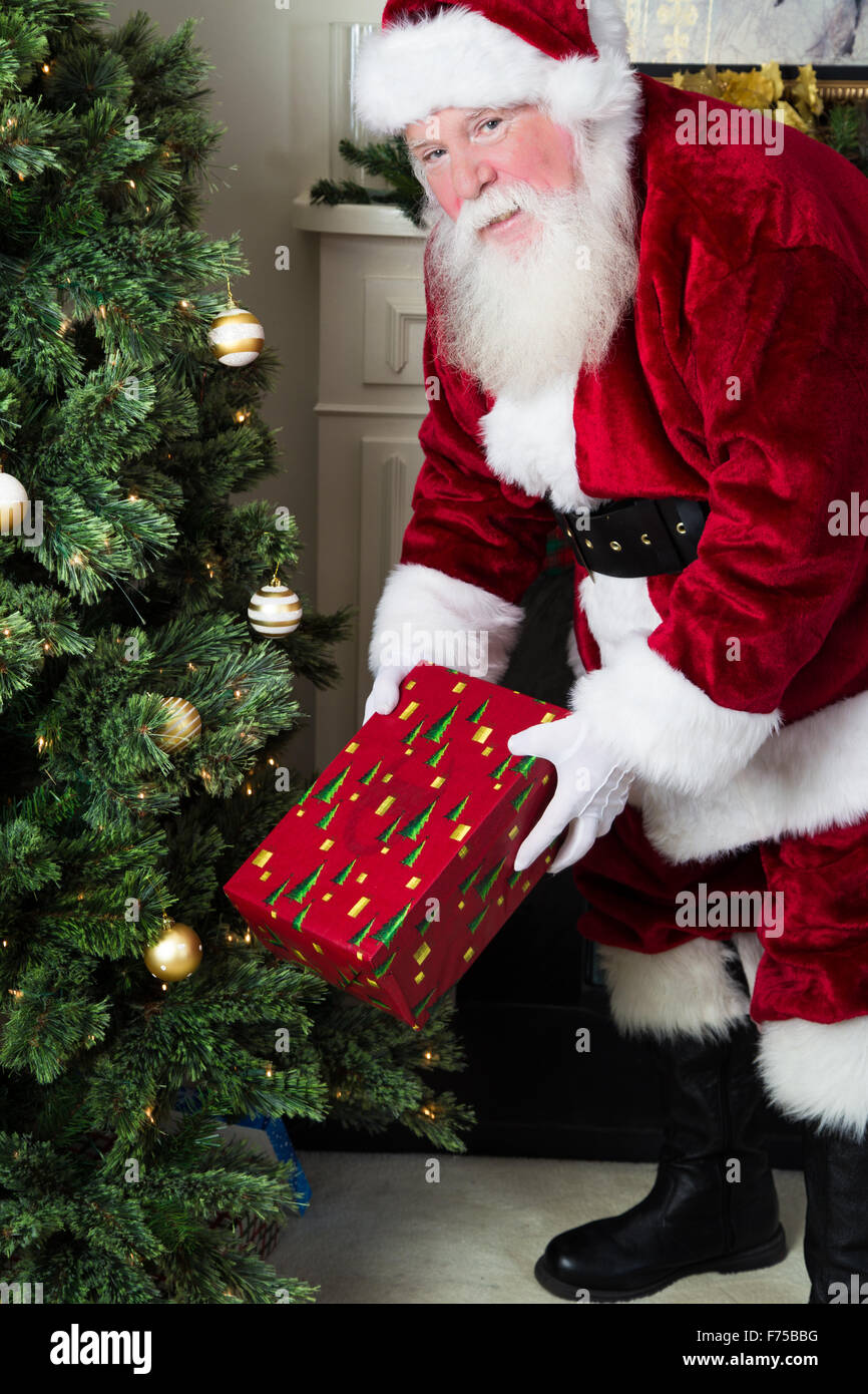 Santa Claus se ve como él está colocando un envuelto presente bajo el árbol  de Navidad Fotografía de stock - Alamy