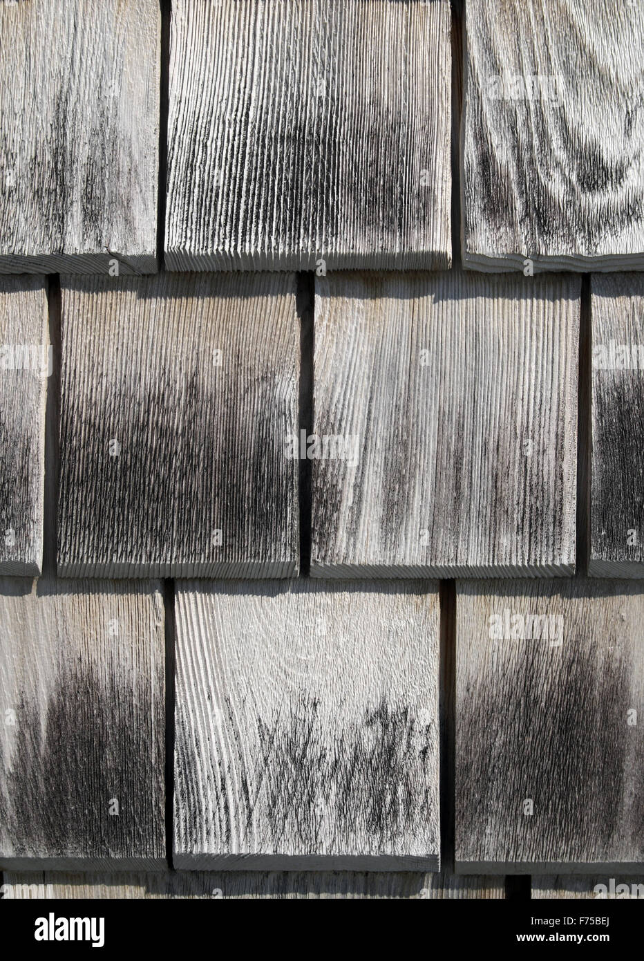 Textura de tejuelas de madera Fotografía de stock - Alamy