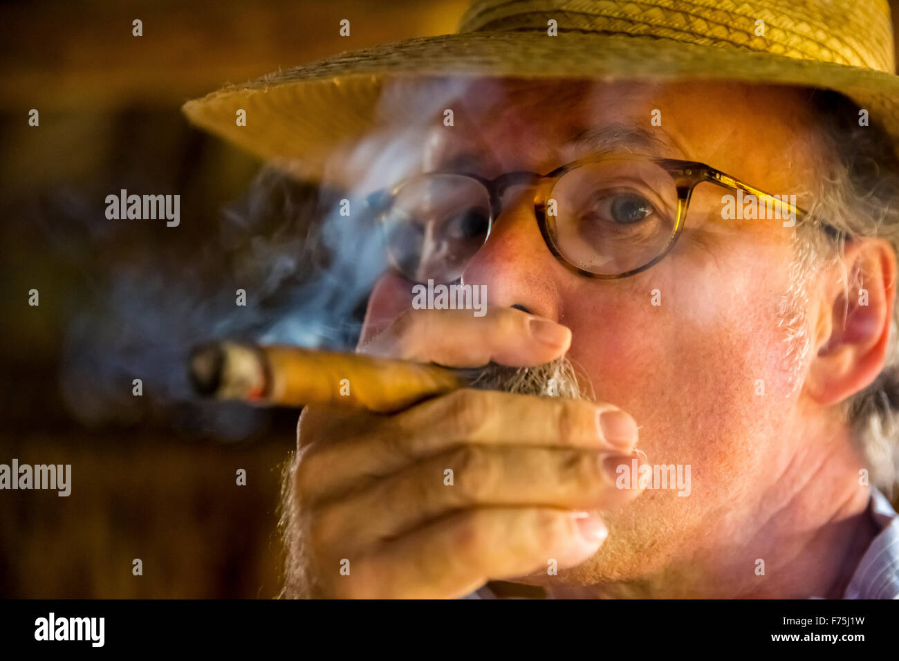 Hans Blossey turista fumar un habano, granja de tabaco en Viñales, Valle de Viñales, Cuba, Pinar del Río, Cuba Foto de stock