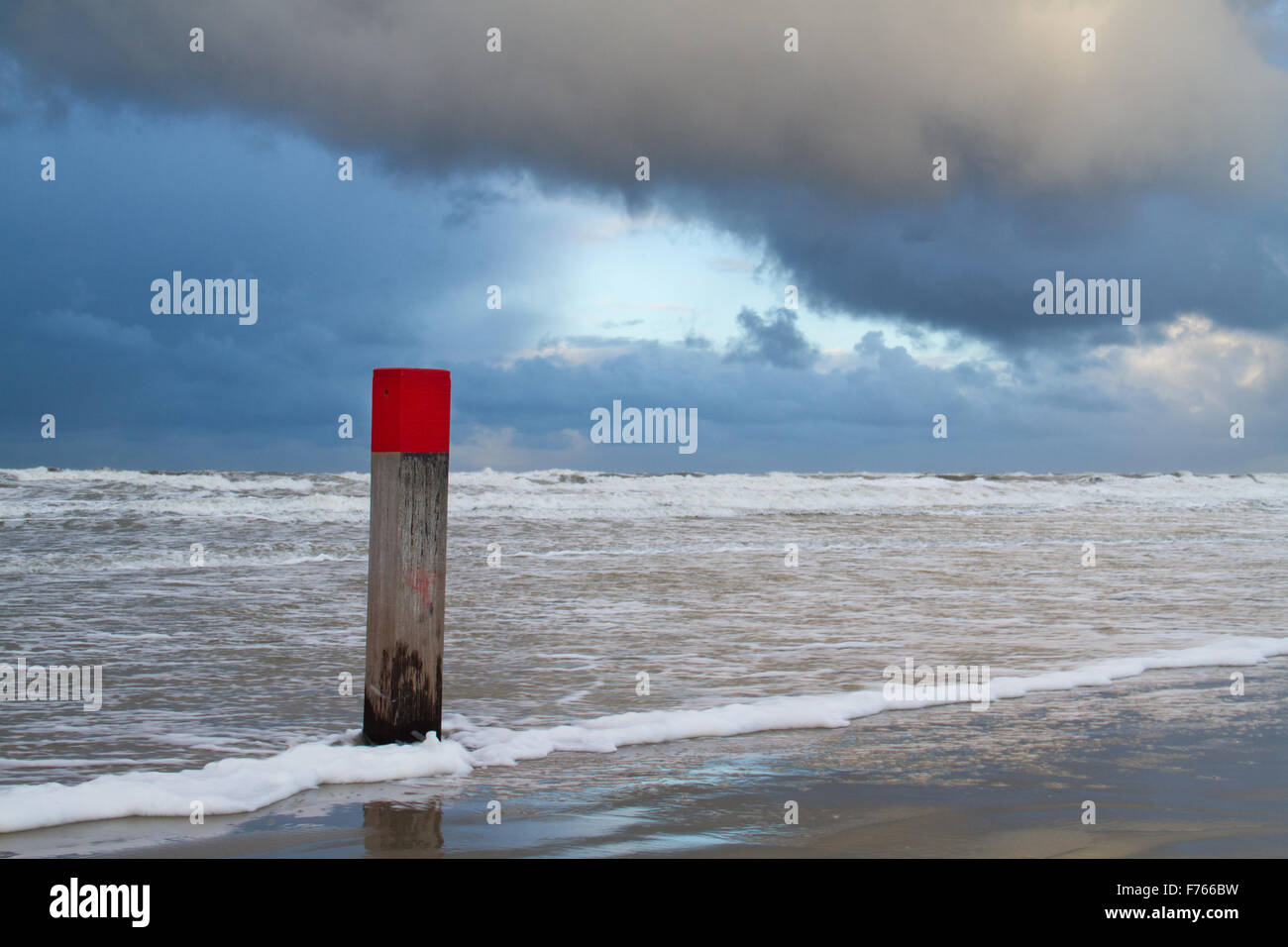 Con la cabeza roja de polo de playa en marea alta bajo una nube oscura Foto de stock