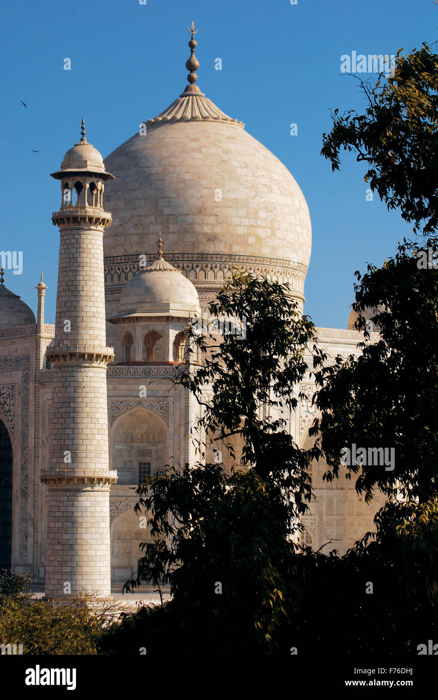 Taj Mahal, mausoleo de mármol blanco, maravilla del mundo, Patrimonio de la Humanidad de la
