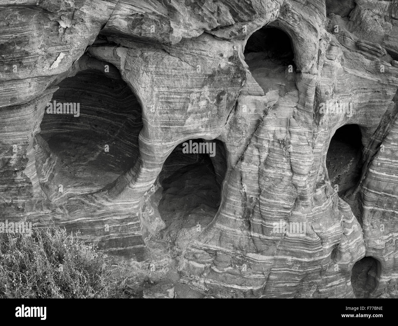 Agujeros erosionadas en piedra arenisca. El Parque Estatal Valle del Fuego, Nevada Foto de stock