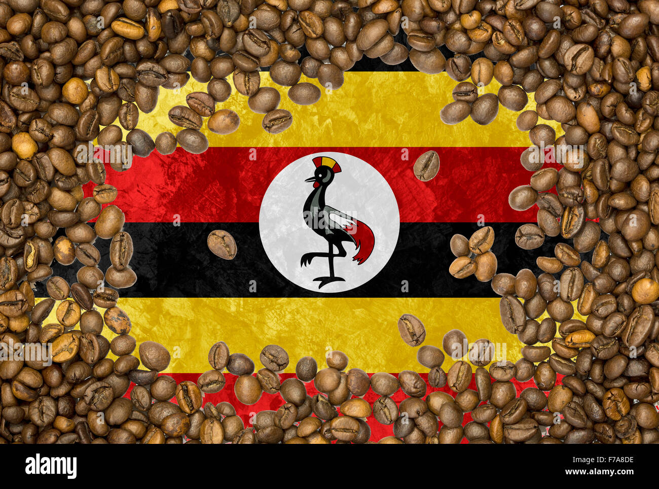 La bandera nacional de Uganda bajo un contexto de Roasted Brown coffee Beans Foto de stock