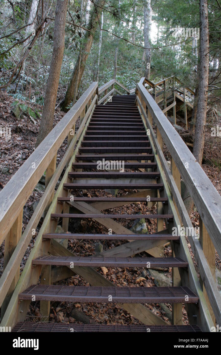 Escaleras en Tallulah Gorge State Park en el norte de Georgia Foto de stock